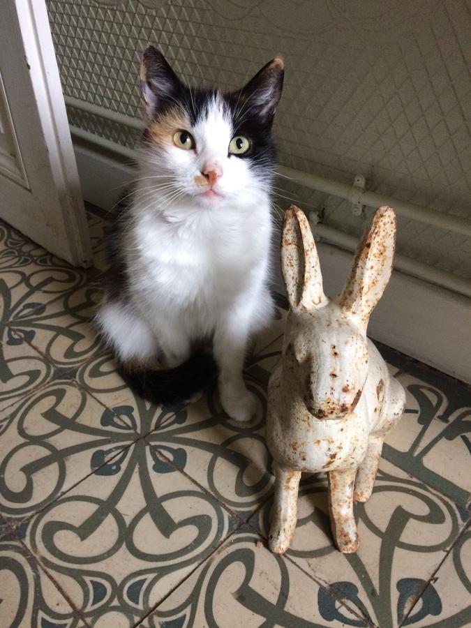 Le Clos Mademoiselle Loches Dış mekan fotoğraf